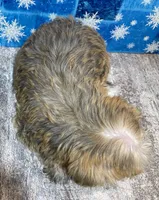 processed/318a2ac9-46fc-4dd0-9d6f-043801221fed/listing/6187c025-ba0f-4536-9df9-c588b9c1a7c8/8c70c3b3-601f-4540-934e-e8d879bd7e28