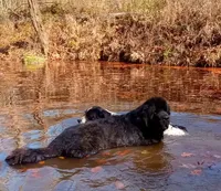 processed/318a74ed-1108-4991-8edc-bc60c80c6303/facility/0282f96d-1619-47a7-9ae1-17bed4afac0f