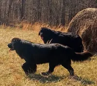 processed/318a74ed-1108-4991-8edc-bc60c80c6303/facility/2e8b0429-7649-4077-88aa-b3d4aecb4004