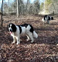 processed/318a74ed-1108-4991-8edc-bc60c80c6303/facility/2fb2b5a5-b632-41a7-a18f-213f511e83b6