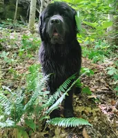 processed/318a74ed-1108-4991-8edc-bc60c80c6303/facility/7b98c5c5-2f4e-468a-bc6d-280aeb34f360