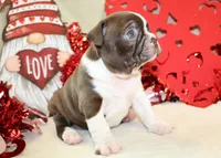 processed/318c9bf7-4a4d-49b1-8521-233f8369de4d/listing/b9e19c6f-bbaf-45cc-baf0-e57547adb1af/55a12d81-2e66-4324-8356-eec55081fb7c