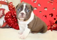 processed/318c9bf7-4a4d-49b1-8521-233f8369de4d/listing/b9e19c6f-bbaf-45cc-baf0-e57547adb1af/f51dfac9-5911-4253-b648-16e3964ffbdd