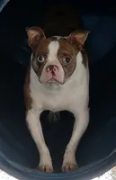 processed/31a3f223-d190-43b4-9d15-425a07531732/listing/1a1f2261-37df-4c38-aba6-34ad95576cbb/5846a637-689e-41b4-94e3-83a807c519a1