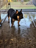 processed/31a3f223-d190-43b4-9d15-425a07531732/listing/cdb3fc54-1a21-41d5-8b63-b64de902264b/2d1001d2-d9c0-4bf5-a66f-ec3b09929e95