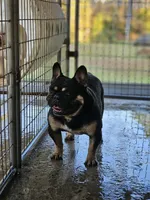 processed/31a3f223-d190-43b4-9d15-425a07531732/listing/cdb3fc54-1a21-41d5-8b63-b64de902264b/bc751843-8cfc-4a37-a650-be51b4b09f4c