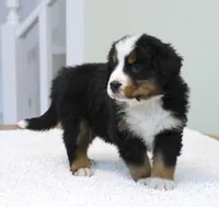 processed/31a55beb-6fd8-47da-a113-b4a09673e6b2/listing/2be9760c-2245-4fbd-8688-97b6b72a8f72/2189b4ec-bc08-4b25-8c57-ade7beb516f6