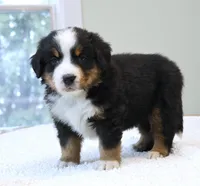 processed/31a55beb-6fd8-47da-a113-b4a09673e6b2/listing/2be9760c-2245-4fbd-8688-97b6b72a8f72/2670e549-cba4-428f-b2e4-bb3dd251e2af