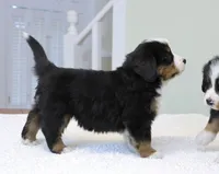 processed/31a55beb-6fd8-47da-a113-b4a09673e6b2/listing/2be9760c-2245-4fbd-8688-97b6b72a8f72/5fcc1d14-372e-490a-b729-a9367064712f