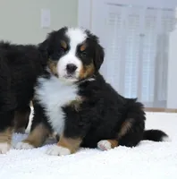 processed/31a55beb-6fd8-47da-a113-b4a09673e6b2/listing/2be9760c-2245-4fbd-8688-97b6b72a8f72/a3bbfe7d-76cb-4b7d-b02c-326eae07c7ad