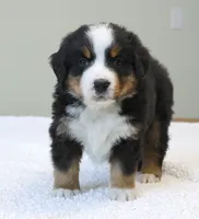 processed/31a55beb-6fd8-47da-a113-b4a09673e6b2/listing/2be9760c-2245-4fbd-8688-97b6b72a8f72/d3001eda-cbe5-4553-b1ce-aedcc047d22f