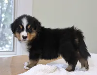 processed/31a55beb-6fd8-47da-a113-b4a09673e6b2/listing/50bc52e7-f71b-43a6-a65f-389b3d3719b2/4a40641a-e295-4806-a25b-16f1c8a978b8