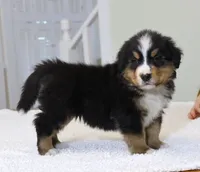 processed/31a55beb-6fd8-47da-a113-b4a09673e6b2/listing/50bc52e7-f71b-43a6-a65f-389b3d3719b2/56473644-b95b-43eb-a92c-4d554967d657