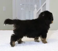 processed/31a55beb-6fd8-47da-a113-b4a09673e6b2/listing/50bc52e7-f71b-43a6-a65f-389b3d3719b2/8c3ae836-cfcf-404c-9ecb-322995e7befa