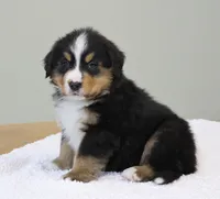 processed/31a55beb-6fd8-47da-a113-b4a09673e6b2/listing/50bc52e7-f71b-43a6-a65f-389b3d3719b2/b93ce337-684f-4933-b6ed-19050ecfdddd