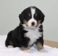 processed/31a55beb-6fd8-47da-a113-b4a09673e6b2/listing/5506f739-e37d-4b41-9eb6-5b7b1e08d72e/5e6b2537-80cc-4664-a3d3-ad6e30824263