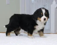 processed/31a55beb-6fd8-47da-a113-b4a09673e6b2/listing/5506f739-e37d-4b41-9eb6-5b7b1e08d72e/dab4e7bd-7187-43c9-8c61-eea52dbce346