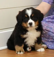 processed/31a55beb-6fd8-47da-a113-b4a09673e6b2/listing/809f8bb9-d8e4-4976-b5c7-e678d54ef756/35095774-693d-4355-a73a-55b3cc1c00a9