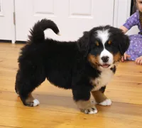 processed/31a55beb-6fd8-47da-a113-b4a09673e6b2/listing/809f8bb9-d8e4-4976-b5c7-e678d54ef756/60bb2308-e612-4f6a-901a-52ee6750eb28