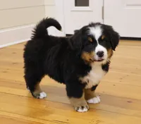 processed/31a55beb-6fd8-47da-a113-b4a09673e6b2/listing/809f8bb9-d8e4-4976-b5c7-e678d54ef756/9f32e427-da18-4eb9-867a-dd09bfee0725