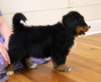 processed/31a55beb-6fd8-47da-a113-b4a09673e6b2/listing/809f8bb9-d8e4-4976-b5c7-e678d54ef756/c8da7a9d-f2c0-4f72-852f-291cd9163af6