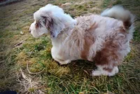 processed/31ba55cf-6a8d-4b23-9fe1-6187807cd371/listing/1ab38ec9-6ec8-469a-8ceb-420d6c87ea84/444288b0-99e4-48f8-b9f4-889f0c345ada