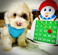 processed/31ba55cf-6a8d-4b23-9fe1-6187807cd371/listing/1ab38ec9-6ec8-469a-8ceb-420d6c87ea84/458ae2fe-fdd3-4810-957c-6e7c89a60a44