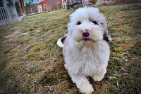 processed/31ba55cf-6a8d-4b23-9fe1-6187807cd371/listing/1ab38ec9-6ec8-469a-8ceb-420d6c87ea84/4fcbafee-0549-4091-99f2-55df18b24d53