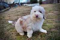 processed/31ba55cf-6a8d-4b23-9fe1-6187807cd371/listing/1ab38ec9-6ec8-469a-8ceb-420d6c87ea84/51d420d8-b662-4925-a836-658320d7bfee