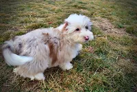 processed/31ba55cf-6a8d-4b23-9fe1-6187807cd371/listing/1ab38ec9-6ec8-469a-8ceb-420d6c87ea84/63dc9d0e-9fe3-471f-a459-7e8a0de236f5