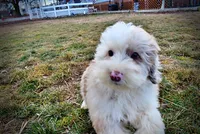 processed/31ba55cf-6a8d-4b23-9fe1-6187807cd371/listing/1ab38ec9-6ec8-469a-8ceb-420d6c87ea84/726aa69c-a0b2-4782-9960-310f38d505a1