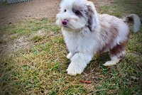 processed/31ba55cf-6a8d-4b23-9fe1-6187807cd371/listing/1ab38ec9-6ec8-469a-8ceb-420d6c87ea84/ad651290-f34c-444d-a412-f66b9b8aa76c