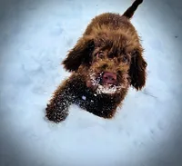 processed/31ba55cf-6a8d-4b23-9fe1-6187807cd371/listing/2eb3e6c1-63d9-47a4-9cee-6209882c17fe/01824e93-df68-4b56-8324-202349768d26