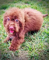 processed/31ba55cf-6a8d-4b23-9fe1-6187807cd371/listing/2eb3e6c1-63d9-47a4-9cee-6209882c17fe/1c6b9d14-4dbb-48e1-beb7-e645911852f6