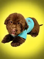 processed/31ba55cf-6a8d-4b23-9fe1-6187807cd371/listing/2eb3e6c1-63d9-47a4-9cee-6209882c17fe/6e1cfe94-5a34-4881-af5f-acdb0fb157b9