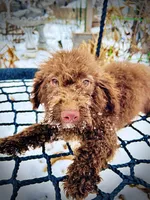 processed/31ba55cf-6a8d-4b23-9fe1-6187807cd371/listing/2eb3e6c1-63d9-47a4-9cee-6209882c17fe/7a3b7c0a-eafe-4f5d-b7a5-62f8c5a4d8f0