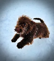 processed/31ba55cf-6a8d-4b23-9fe1-6187807cd371/listing/2eb3e6c1-63d9-47a4-9cee-6209882c17fe/7b411cb2-a611-4b10-8deb-5e641954c8b2