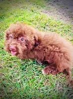 processed/31ba55cf-6a8d-4b23-9fe1-6187807cd371/listing/2eb3e6c1-63d9-47a4-9cee-6209882c17fe/81ba5bcf-c424-437c-aed7-763d9395839c