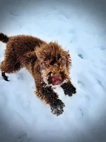 processed/31ba55cf-6a8d-4b23-9fe1-6187807cd371/listing/2eb3e6c1-63d9-47a4-9cee-6209882c17fe/d20e2513-66b4-4d16-a1cf-59bac8810283