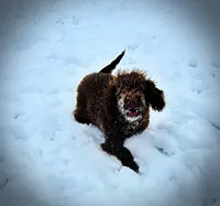 processed/31ba55cf-6a8d-4b23-9fe1-6187807cd371/listing/2eb3e6c1-63d9-47a4-9cee-6209882c17fe/d360a5aa-56f4-4886-becf-d71de5be7da2