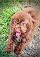 processed/31ba55cf-6a8d-4b23-9fe1-6187807cd371/listing/2eb3e6c1-63d9-47a4-9cee-6209882c17fe/e8c6edc7-1b00-463e-905a-fab247ec1edc