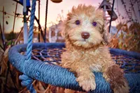 processed/31ba55cf-6a8d-4b23-9fe1-6187807cd371/listing/2f4bb74c-f481-4553-8753-253c6e372c9f/2e8b8077-eec0-43fb-b815-abe40caac9ff