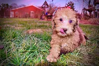 processed/31ba55cf-6a8d-4b23-9fe1-6187807cd371/listing/2f4bb74c-f481-4553-8753-253c6e372c9f/469d9939-42a5-4248-bebe-d8cbca8d1503