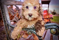 processed/31ba55cf-6a8d-4b23-9fe1-6187807cd371/listing/2f4bb74c-f481-4553-8753-253c6e372c9f/50a09422-f13d-4bcc-a663-8a83e099b8f0