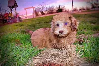 processed/31ba55cf-6a8d-4b23-9fe1-6187807cd371/listing/2f4bb74c-f481-4553-8753-253c6e372c9f/6c49ad6c-a2eb-4e0b-9917-d1e076080462