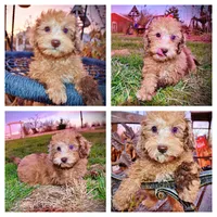 processed/31ba55cf-6a8d-4b23-9fe1-6187807cd371/listing/2f4bb74c-f481-4553-8753-253c6e372c9f/a0c6d45b-dbf4-4e7d-9e52-1365a747676d