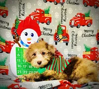 processed/31ba55cf-6a8d-4b23-9fe1-6187807cd371/listing/2f4bb74c-f481-4553-8753-253c6e372c9f/ac3b3c3d-d646-4101-b054-0e1edb94c4fc