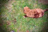 processed/31ba55cf-6a8d-4b23-9fe1-6187807cd371/listing/2f4bb74c-f481-4553-8753-253c6e372c9f/cd3c1826-243f-4fee-8298-62157c5ddbe1