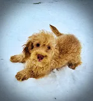 processed/31ba55cf-6a8d-4b23-9fe1-6187807cd371/listing/2fa31d34-e2f0-4687-acfe-112a03460b2e/1712aeb3-0388-4b39-82c4-ad3d1b0e38f5