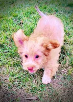 processed/31ba55cf-6a8d-4b23-9fe1-6187807cd371/listing/2fa31d34-e2f0-4687-acfe-112a03460b2e/2c479143-c1df-49c3-a65f-5ae87b41bc98